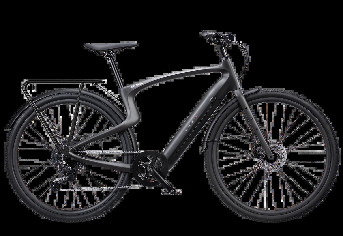 Carbon 1 Pro E-Bike