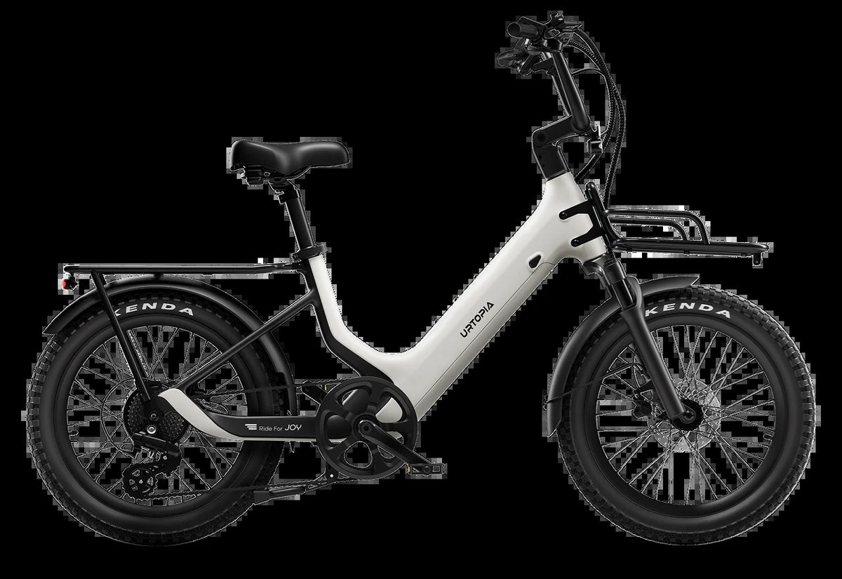 Carbon Joy E-Bike