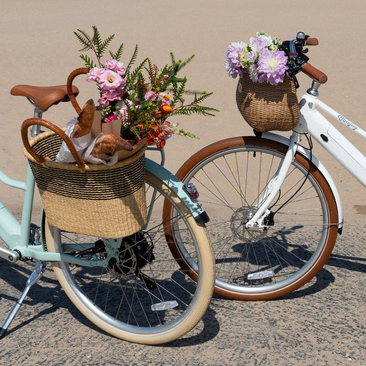 Experience Effortless Cruising with the NEW Bluejay Premiere Lite 2027 - Mint Green Electric Bike