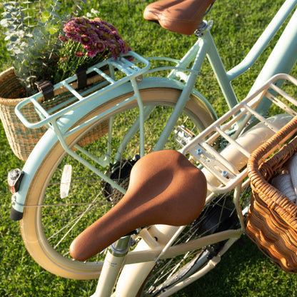 Experience Effortless Cruising with the NEW Bluejay Premiere Lite 2027 - Mint Green Electric Bike