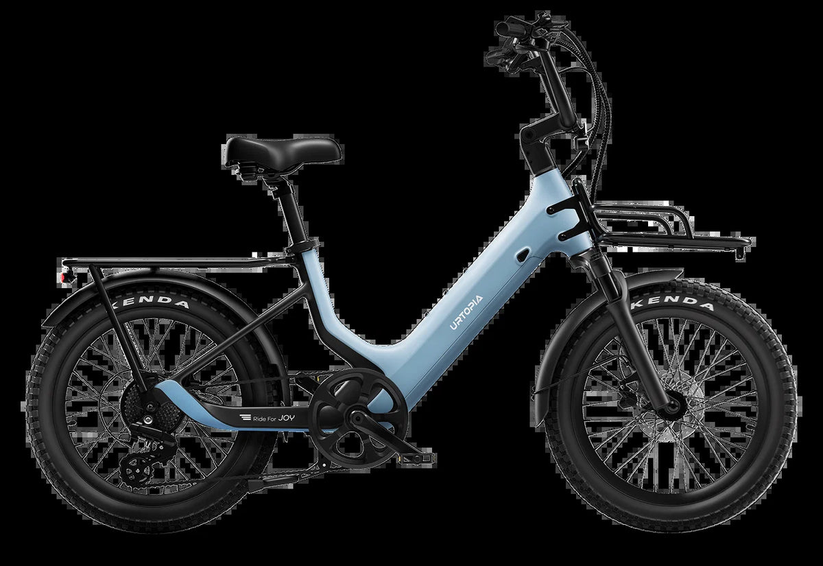 Carbon Joy E-Bike
