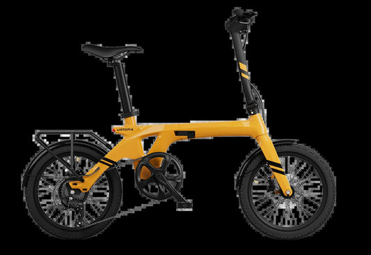 Carbon Fold 1 E-Bike