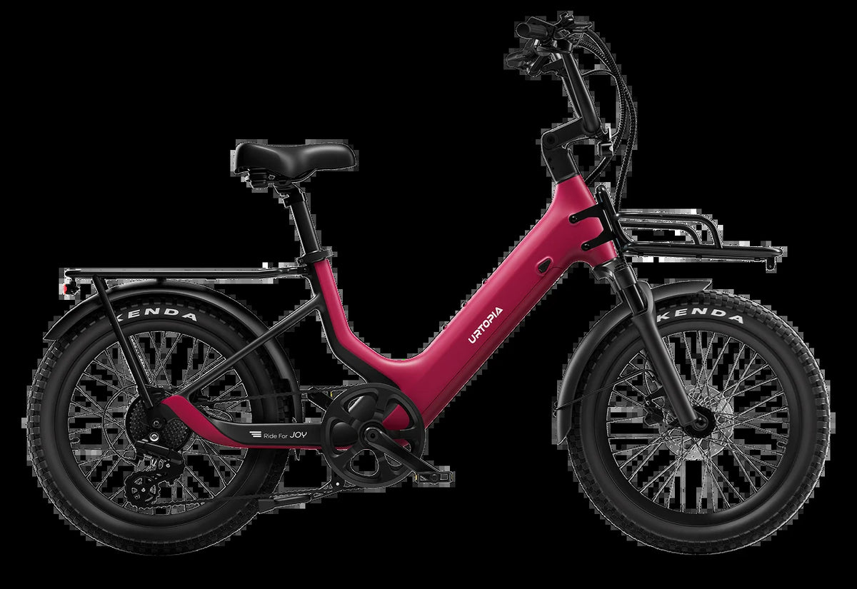 Carbon Joy E-Bike
