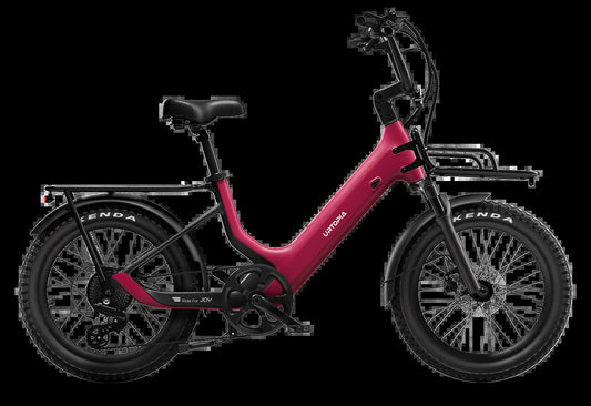 Carbon Joy E-Bike