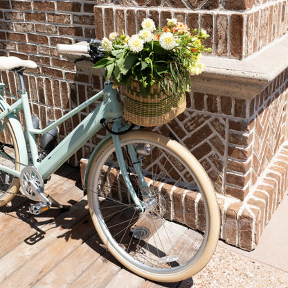 Experience Effortless Cruising with the NEW Bluejay Premiere Lite 2027 - Mint Green Electric Bike