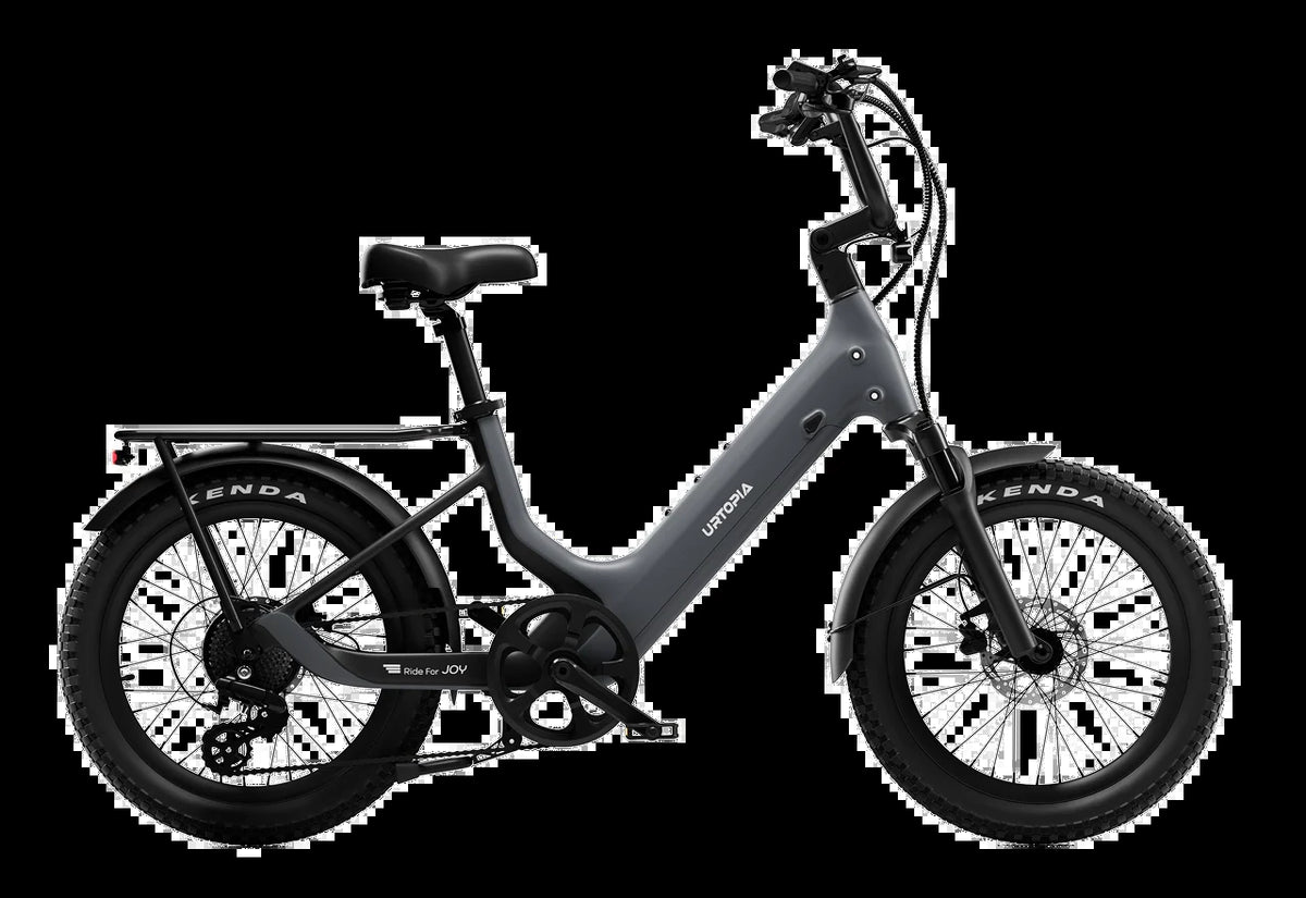 Carbon Joy E-Bike