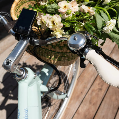 Experience Effortless Cruising with the NEW Bluejay Premiere Lite 2027 - Mint Green Electric Bike
